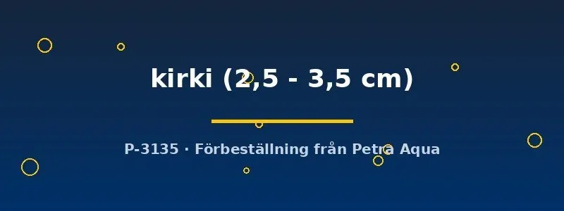 Nothobranchius kirki redfin notho 2,5–3,5 cm