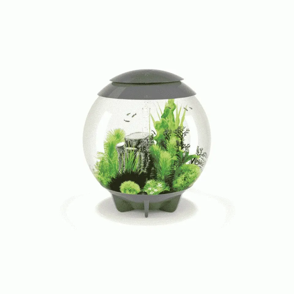 biOrb HALO 60 MCR akvarium grå