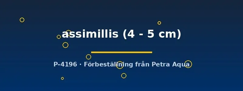Näsets Ciklidhobby Puntius assimillis barb 4–5 cm stimfisk