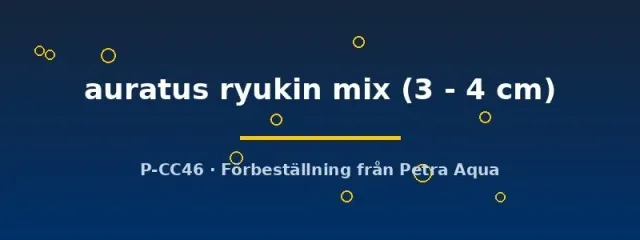 Näsets Ciklidhobby Ryukin mix guldfisk 3–4 cm ungfisk