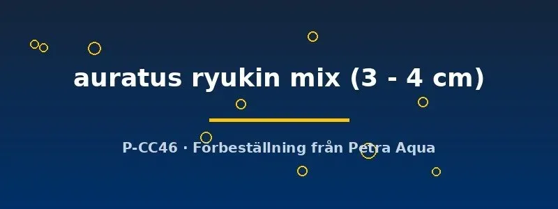 Näsets Ciklidhobby Ryukin mix guldfisk 3–4 cm ungfisk