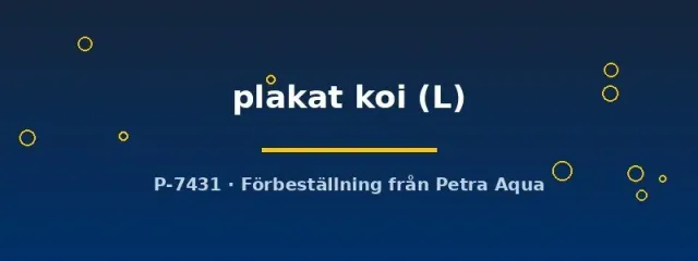 Näsets Ciklidhobby betta plakat koi hona kampfisk L