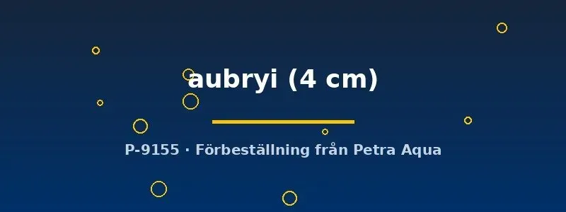 Näsets Ciklidhobby Metasesarma aubryi krabba 4 cm paludarium