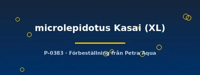 Näsets Ciklidhobby microlepidotus Kasai ciklid XL stim