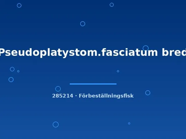 Näsets Ciklidhobby Pseudoplatystoma mal 12–15 cm