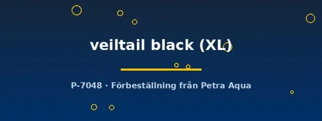 Näsets Ciklidhobby Betta spl. veiltail black kampfisk XL