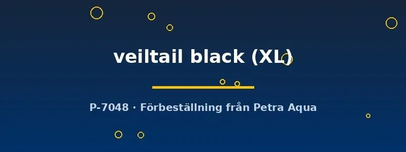 Näsets Ciklidhobby Betta spl. veiltail black kampfisk XL