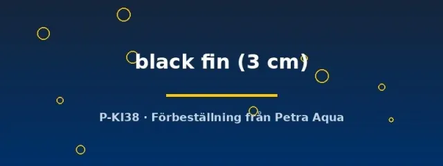 Näsets Ciklidhobby Aspidoras black fin pansarmal 3 cm
