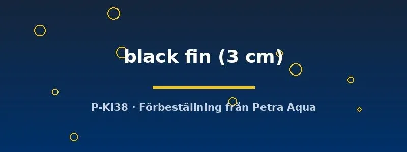 Näsets Ciklidhobby Aspidoras black fin pansarmal 3 cm