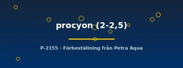 Hyphessobrycon procyon tetra 2–2,5 cm stimfisk
