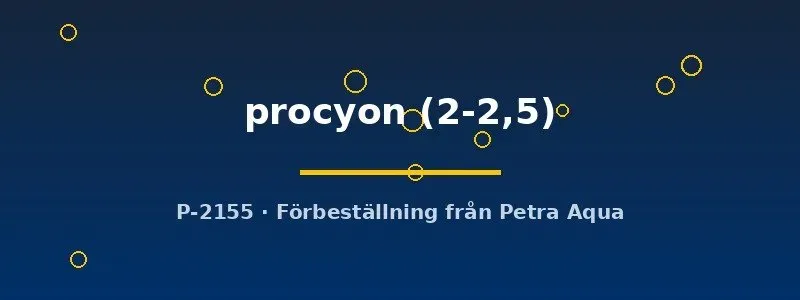 Hyphessobrycon procyon tetra 2–2,5 cm stimfisk