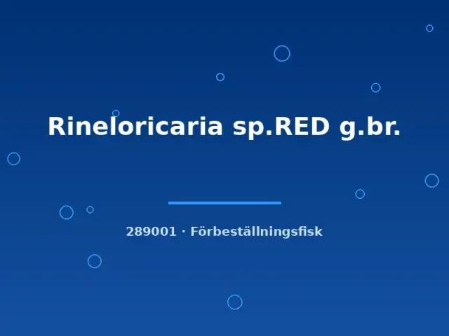 Näsets Ciklidhobby Rineloricaria sp. RED g.br. pansarmal 4-5 cm röd