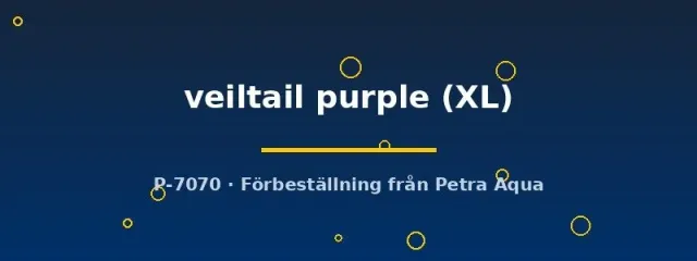 Näsets Ciklidhobby Long Fin Purple kampfisk XL hane lila