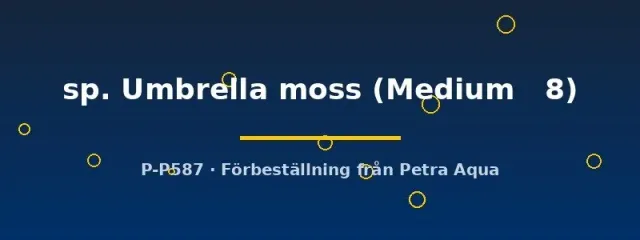Hypopterygium Umbrella moss mossa Medium 8