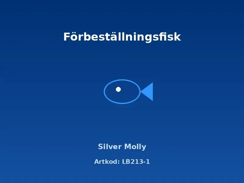 Näsets Ciklidhobby Silver Molly akvariefisk 3–4 cm silver