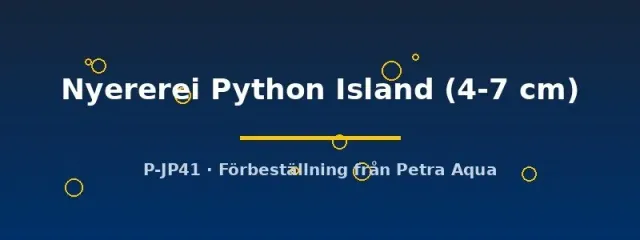 Näsets Ciklidhobby Haplochromis Nyererei Python Island ciklid 4–7 cm