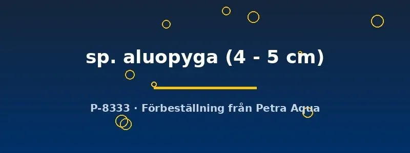 Näsets Ciklidhobby Tatia aluopyga mal 4–5 cm nattaktiv