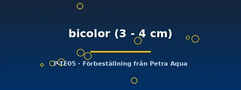 Näsets Ciklidhobby Geosesarma bicolor krabba 3–4 cm paludarium