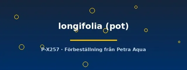 Näsets Ciklidhobby Barclaya longifolia akvarieväxt pot