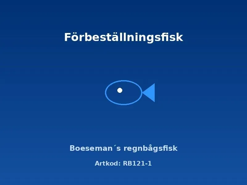 Boesemans regnbågsfisk 4–5 cm akvariefisk färgstark