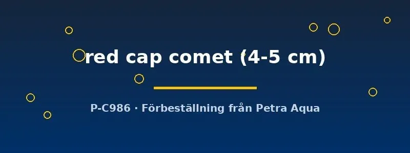 Näsets Red Cap Comet guldfisk 4–5 cm kallvatten