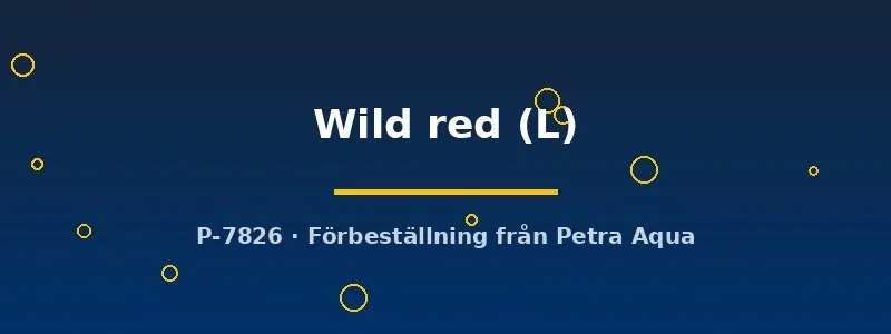 Näsets Betta kampfisk hona wild red L