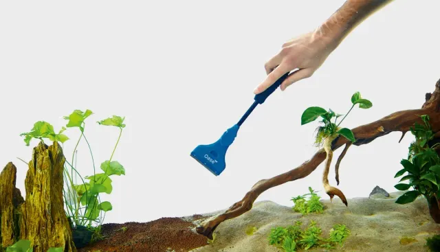 Näsets Algskrapa skrapa akvarium glas reptil algborttagare