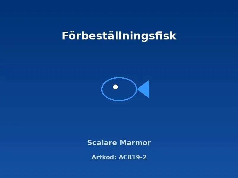 Näsets Ciklidhobby Scalare Marmor akvariefisk 4 cm