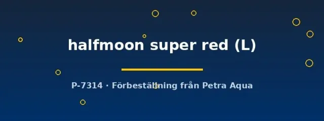 Näsets Ciklidhobby Betta halfmoon super red kampfisk L hane