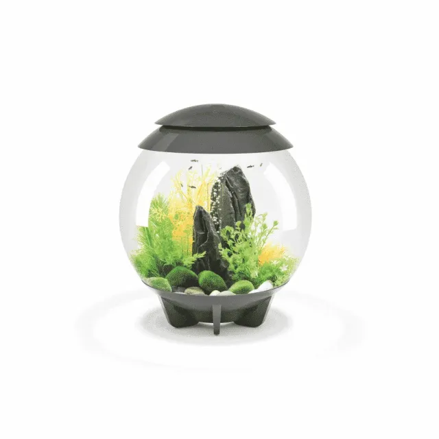 biOrb HALO 30 MCR akvarium 30 liter grå LED