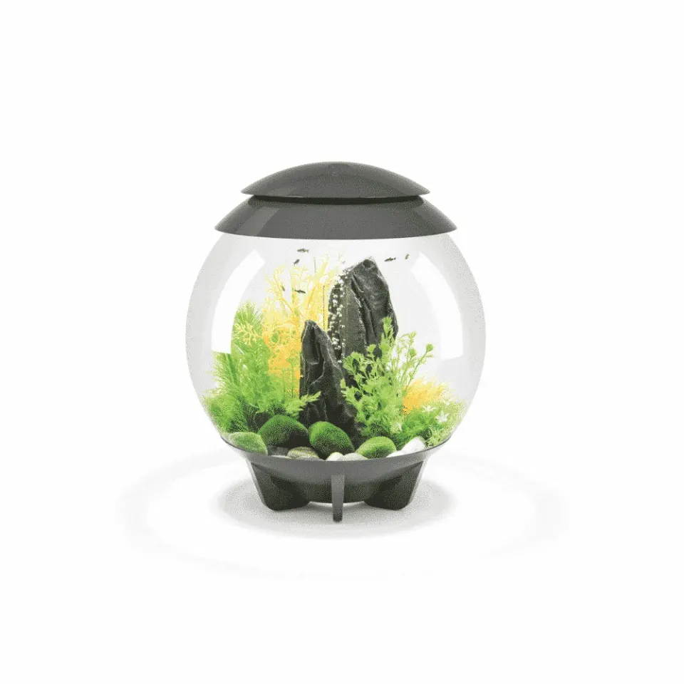 biOrb HALO 30 MCR akvarium 30 liter grå LED
