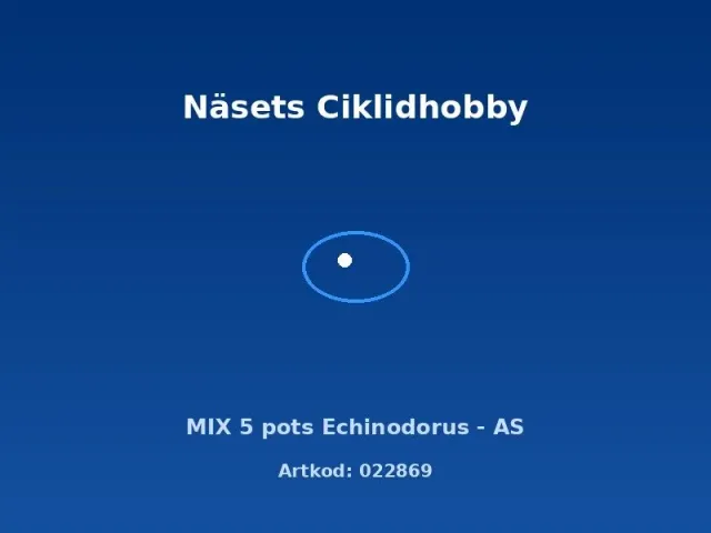 Näsets Ciklidhobby Echinodorus Mix 5 krukor akvarieväxt lättskött