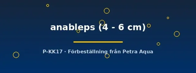 Näsets Ciklidhobby Anableps fyrögonfisk 4–6 cm