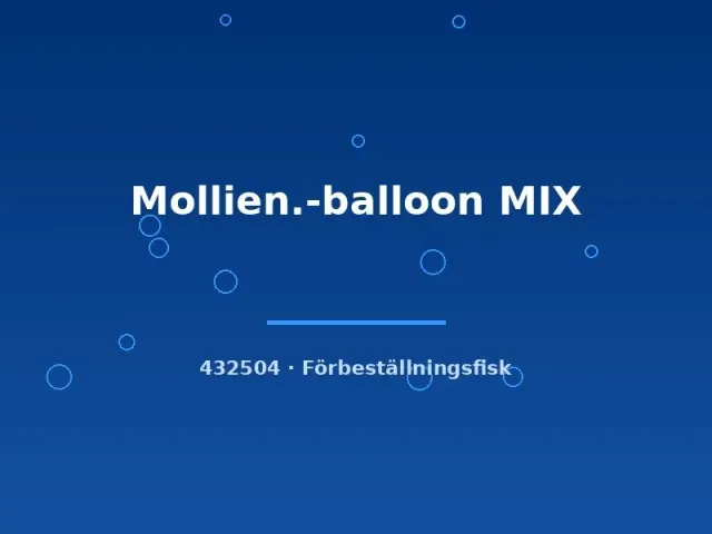 Näsets Ciklidhobby Mollien Balloon MIX akvariefisk lg-xlg