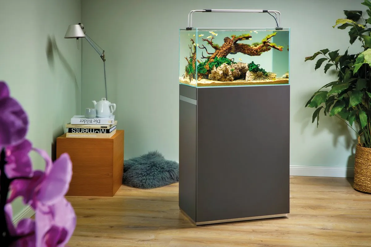 Oase ScaperLine 60 Room divider panel grå skåppanel