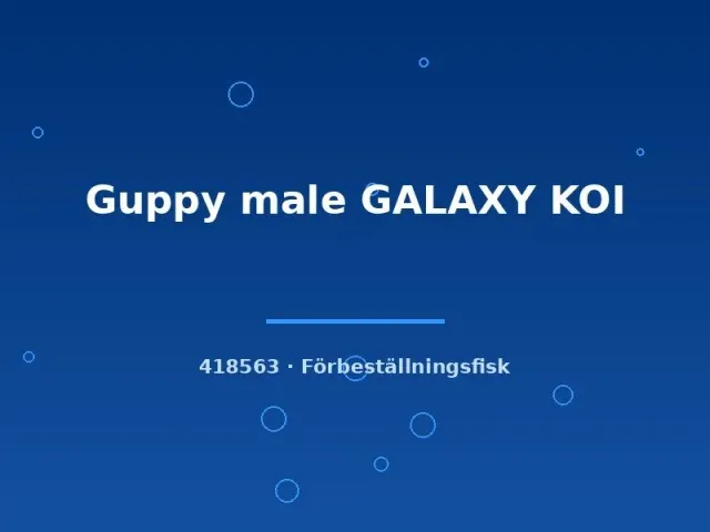 Näsets Ciklidhobby Guppy Galaxy Koi hane lg stor