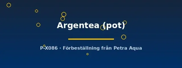 Hemigraphis Argentea akvarieväxt pot