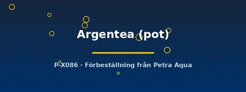Hemigraphis Argentea akvarieväxt pot