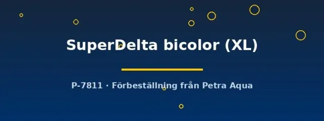 Betta spl. SuperDelta bicolor kampfisk hane XL