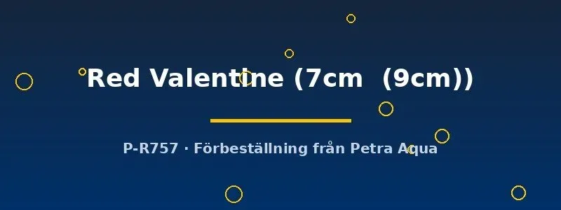 Näsets Ciklidhobby Symphysodon Red Valentine diskus 7–9 cm