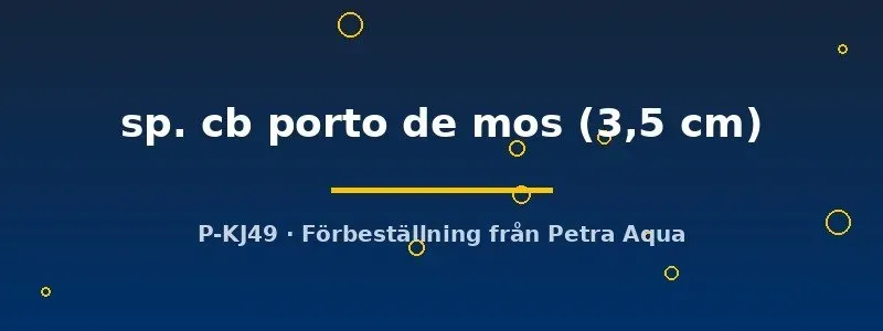 L333 Hypancistrus porto de mos mal 3,5 cm svartvit