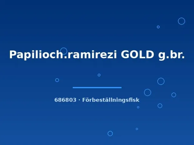 Papiliochromis ramirezi gold fjärilsciklid 3-4 cm