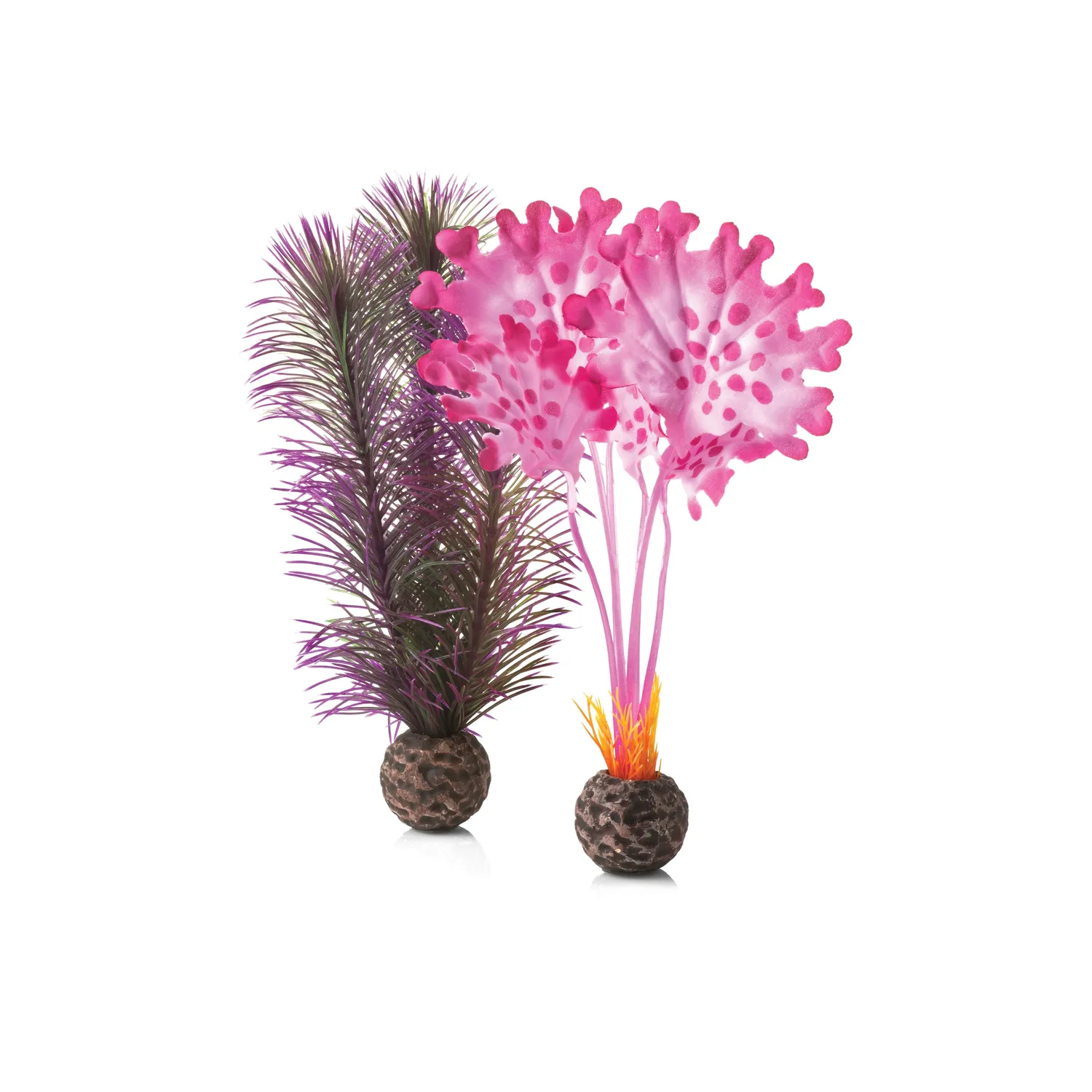 biOrb Small Kelp Plant Set akvarieväxt 200mm lila rosa