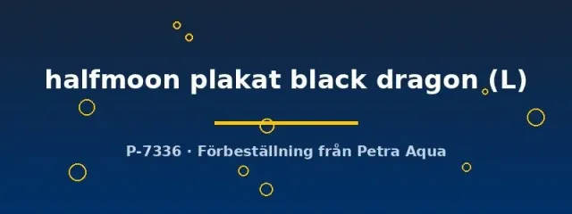 Näsets Ciklidhobby Betta halfmoon plakat black dragon L hane