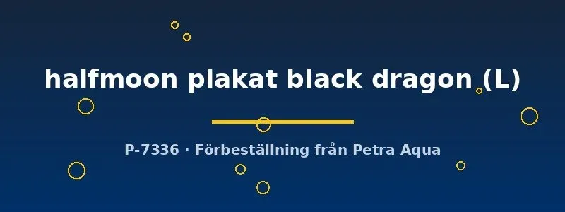 Näsets Ciklidhobby Betta halfmoon plakat black dragon L hane