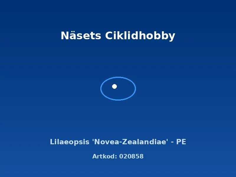 Lilaeopsis Novea-Zealandiae akvarieväxt PE förgrund matta