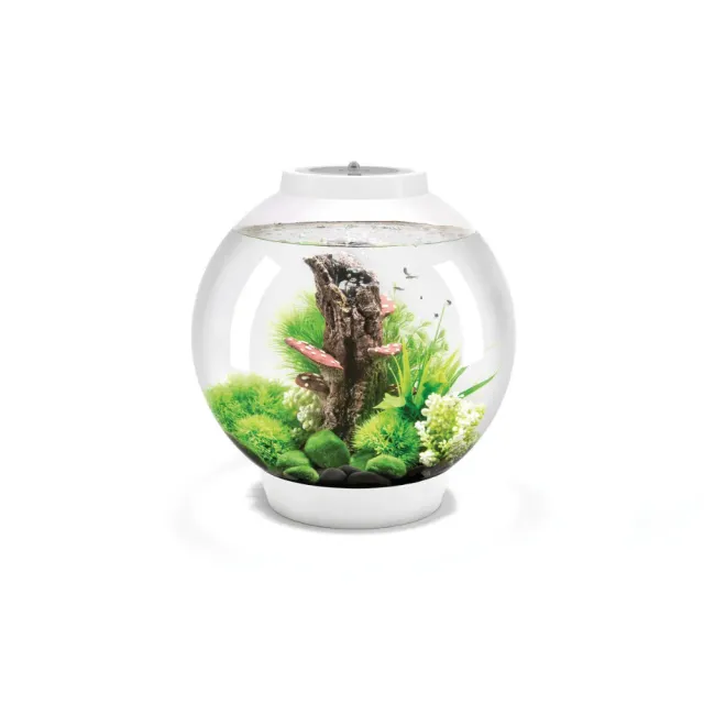 biOrb Classic 30 MCR akvarium 30 liter vit