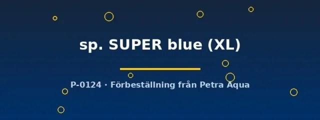 Aulonocara Blue Fin Super Blue ciklid XL