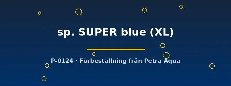 Aulonocara Blue Fin Super Blue ciklid XL