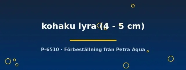 Näsets Ciklidhobby helleri kohaku lyra svärdbärare 4–5 cm